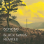 Black Sands Remixed