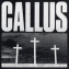 Callus